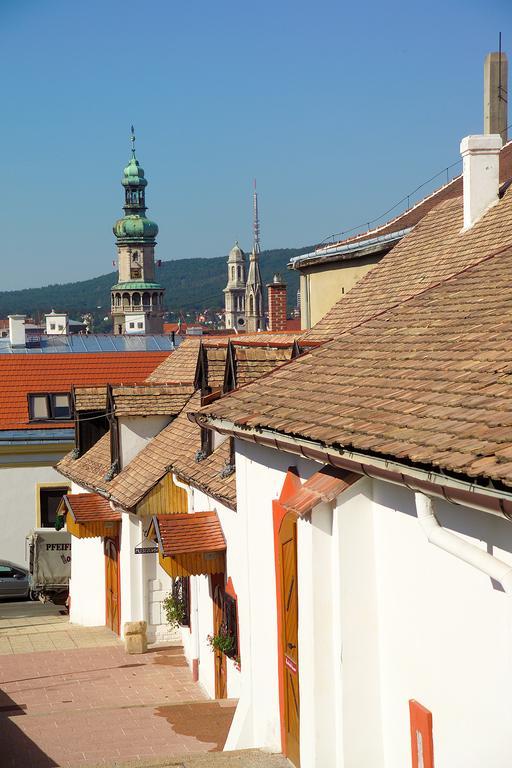 Vinosseum Bor- Es Apartmanhaz Sopron Exterior photo